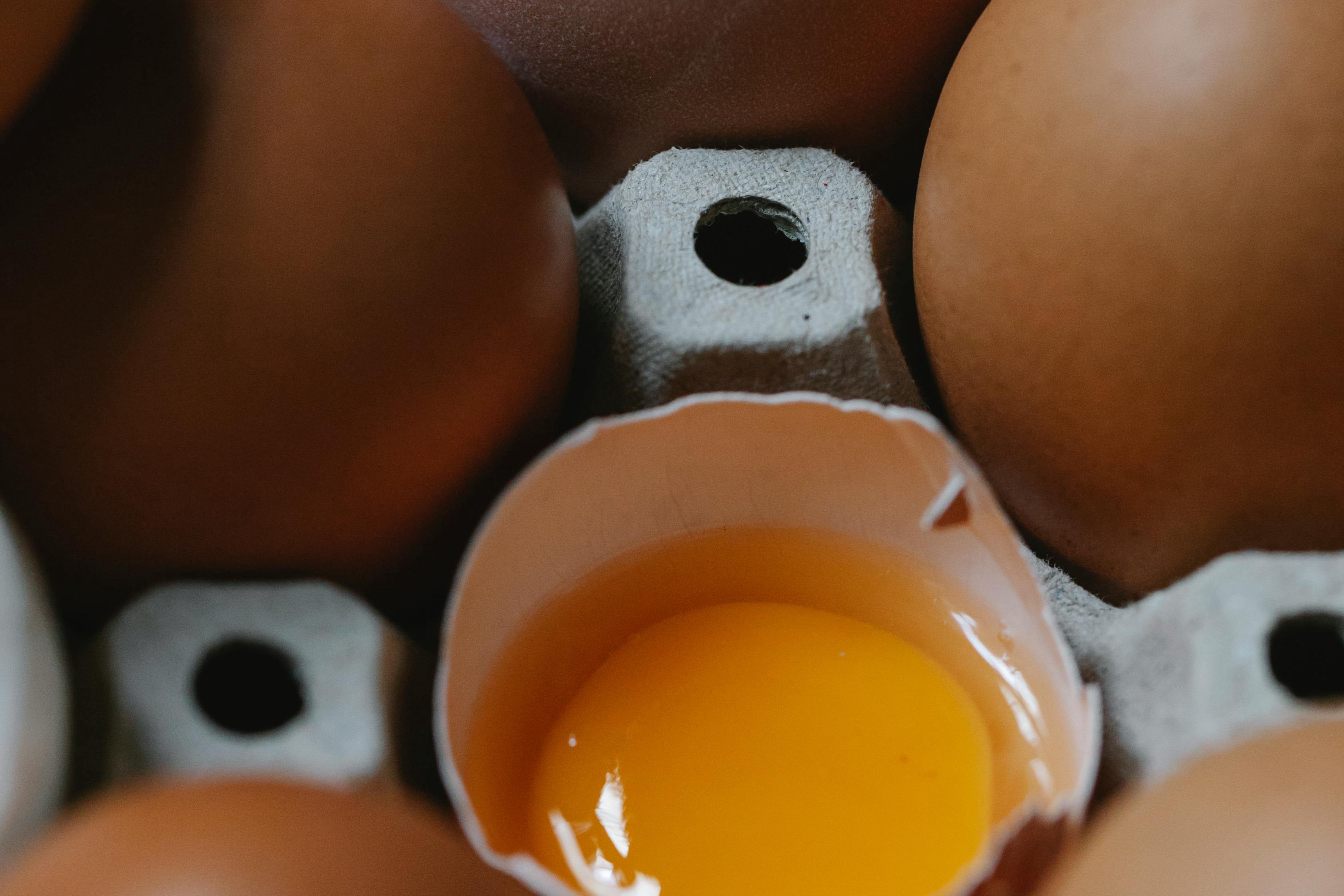 protein eggs